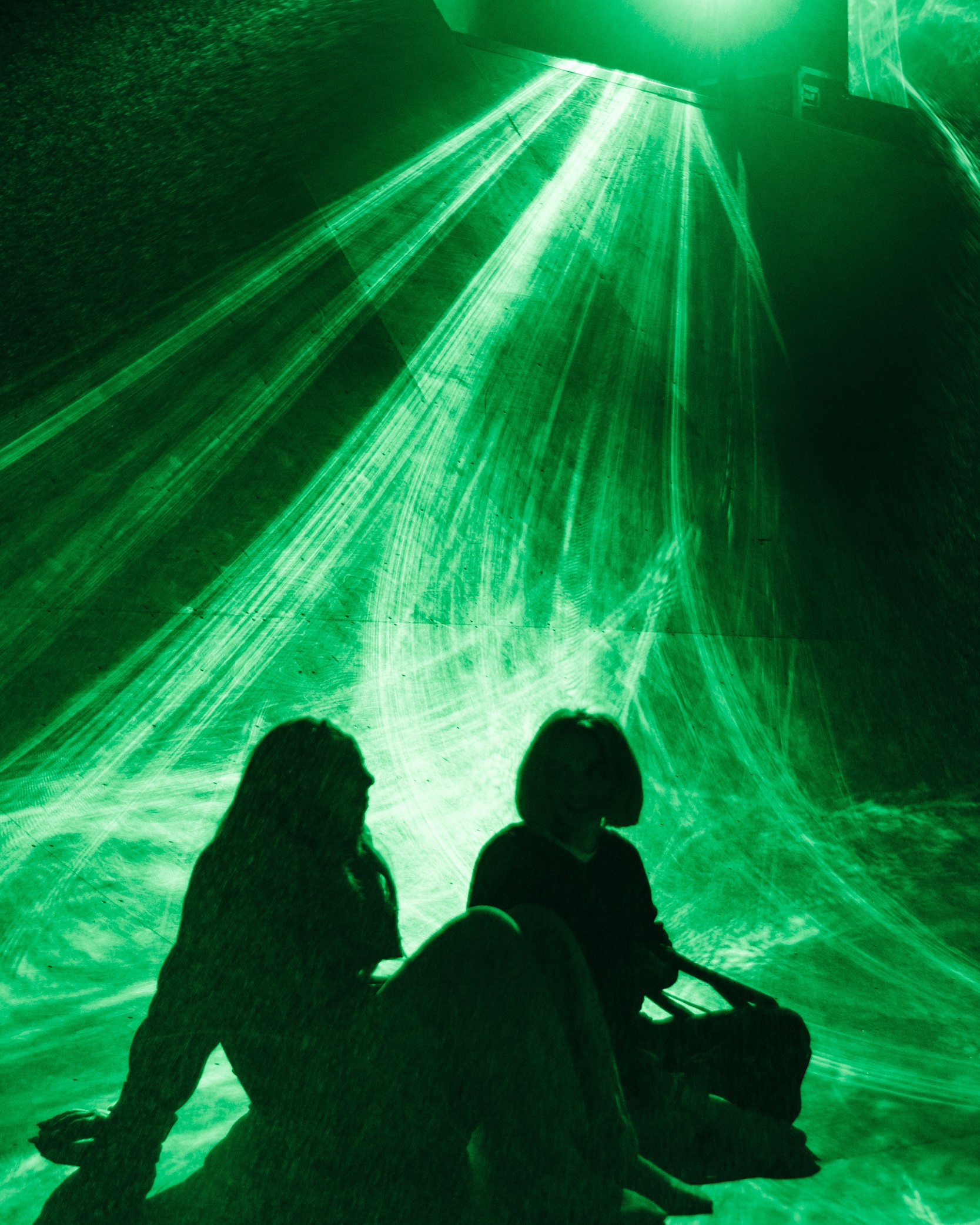 Visitors beneath the Laser Lumia projections at Laser Meadows